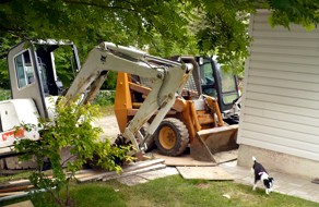 Calgary Bobcat